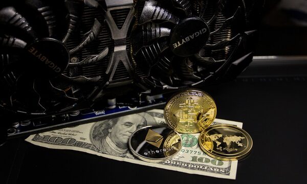 Best Strategies to survive Crypto Bear Market